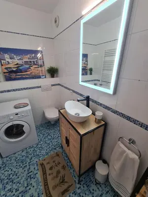 a bathroom with a sink and a washing machine at STUDIO BALCON CALME AVEC PARKING 5mn de la MER in Nice