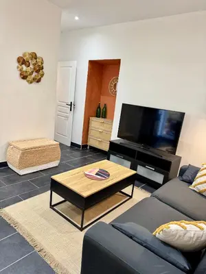 a living room with two couches and a television at Joli 2 pièces avec terrasse en centre ville in Nice