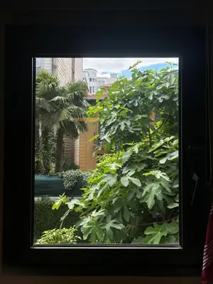 a window view of a bush outside a building at Rivoli Center Terrasse Clim Parking in Nice