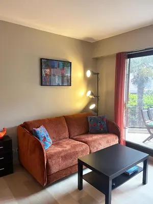 a living room with a brown couch and a table at Rivoli Center Terrasse Clim Parking in Nice