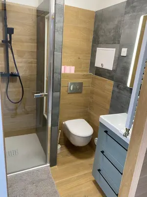 a small bathroom with a toilet and a shower at Vacances à la mer in Cagnes-sur-Mer