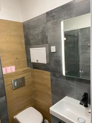 a bathroom with a toilet and a sink and a mirror at Vacances à la mer in Cagnes-sur-Mer