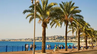 people walking on a sidewalk near the beach with palm trees at Nid perché avec aperçu mer Tout à pied ! in Nice