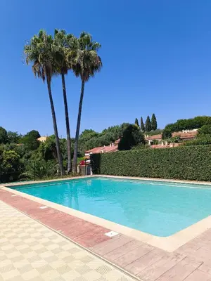 a swimming pool with two palm trees in the background at Maison hauteur Nice in Nice