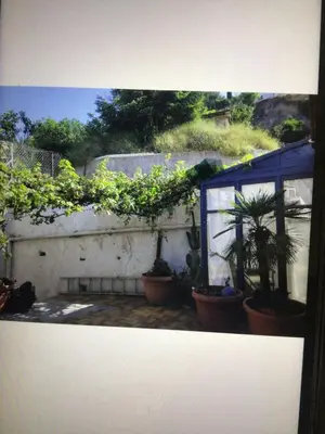a group of potted plants on a wall at Maison authentique in Nice