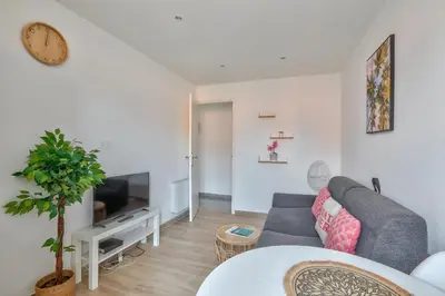 a living room with a couch and a tv at Magnifique studio en plein centre de Nice in Nice