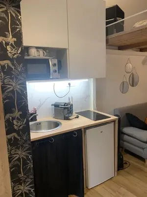a small kitchen with a sink and a microwave at Studette Cosy in Nice