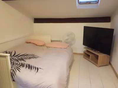 a bedroom with a bed and a flat screen tv at Appartement meublé 265 in Nice