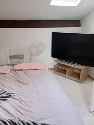 a bedroom with a flat screen tv and a bed at Appartement meublé 265 in Nice