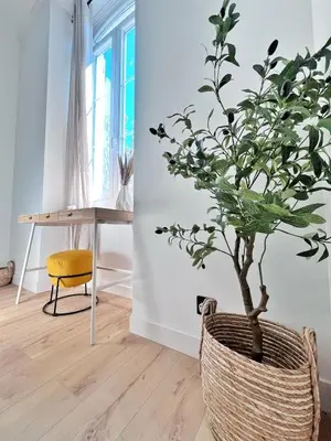 a plant in a basket in a room with a table at Ref 118 Oliviera 2 Beds Apartment in Riquier in Nice