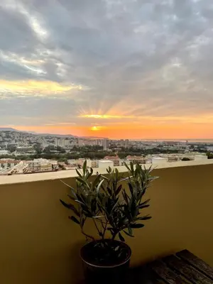 a potted plant sitting on a balcony with a sunset at Lea's cozy nest with a sea-mountain view in Saint-Laurent-du-Var