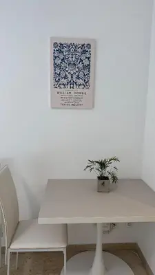 a white table with a plant on a white wall at Studio 4 Carré d'Or in Nice