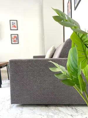 a gray couch in a living room with a plant at Super studio Carré d'Or-2 people-Nice in Nice