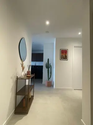 a hallway with a mirror and a cactus at Azure blue in Nice