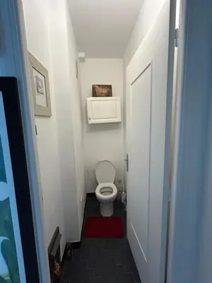 a small bathroom with a toilet and a red rug at Appartement Nice promenade des anglais in Nice