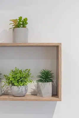two potted plants sitting on a wooden shelf at Le Cocon Niçois in Nice