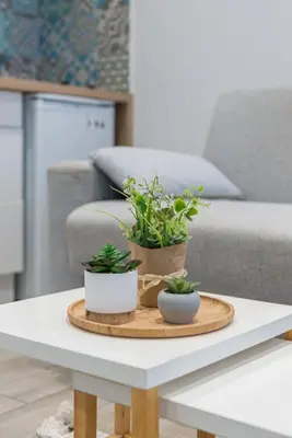 two potted plants on a coffee table in front of a couch at Le Cocon Niçois in Nice