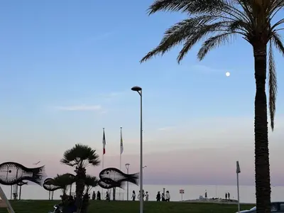 a palm tree and flags in a park near the beach at Sun, beach and relaxation in Cagnes-sur-Mer