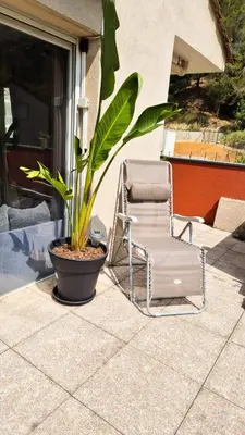 a chair and a potted plant on a patio at T4 avec grande terrasse - BBQ - parking in La Trinité