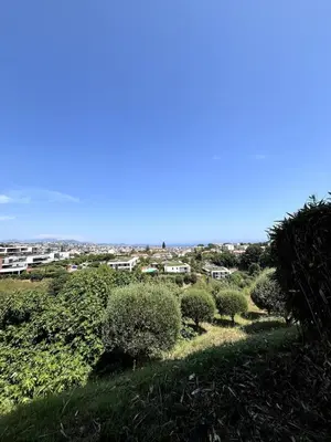 a group of bushes and trees on a hill at Appartement calme vue mer in Saint-Laurent-du-Var