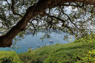 a view of a harbor with boats in the water at MY CASA - VILLEFRANCHE RESTANQUES - Panoramic sea view 2 bedrooms Swimming pool in Villefranche-sur-Mer