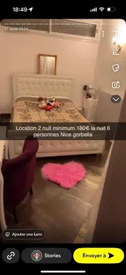 a picture of a bedroom with a bed with a pink rug at Endroit calme in Nice