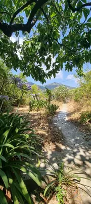 a dirt road with trees and plants on it at Le Jas in Tourrette-Levens