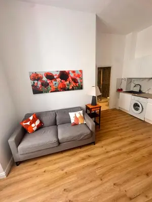 a living room with a gray couch and a kitchen at Studio Smile FSHH in Nice