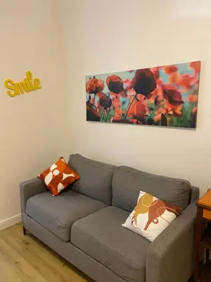 a living room with a couch and a painting on the wall at Studio Smile FSHH in Nice