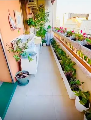 a greenhouse with potted plants on the walls at Sweet Suite Nice in Nice