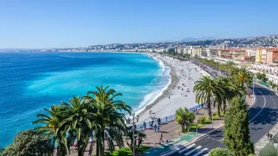 a view of a beach with palm trees and the ocean at Baquis in Nice