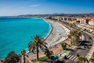 a view of a beach with palm trees and the ocean at Magnifique appartement dans palais Niçois in Nice
