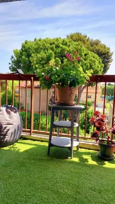 a plant on a table with a pot on a balcony at Apartment with balcony 5 minutes walk from the sea in Cagnes-sur-Mer