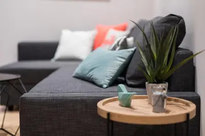 a couch with pillows and a potted plant on a table at L'Atelier, loft confortable dans la vieille ville, avec climatisation in Nice