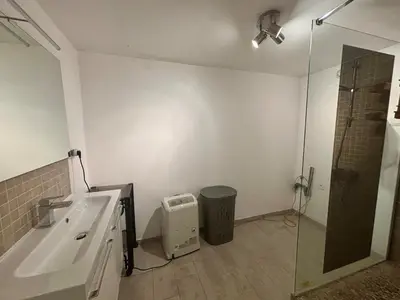 a bathroom with a shower and a sink and a mirror at Appartement terrasse jacuzzi in Nice