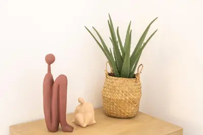 a shelf with a potted plant and a vase at #56 2P Massena Central close promenade,Old Town, AC in Nice