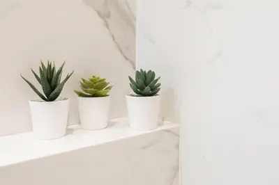 four plants in white pots sitting on a shelf at #60 Grimaldi 2BDR central near beach,promenade AC&WIFI in Nice