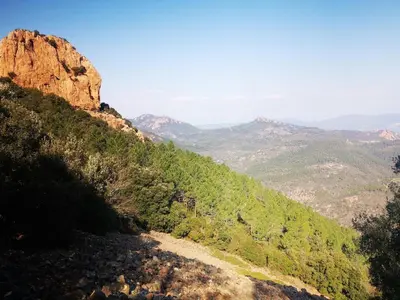 a view of a mountain with trees and a road at Bohemian style and luminous balcony in Nice