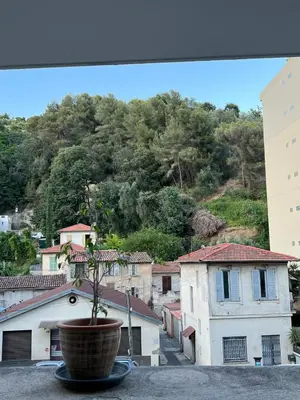 a potted plant sitting on the ledge of a building at Studio magnan grand balcon in Nice