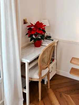 a desk with a potted red plant on it at Azur Verdun in Nice