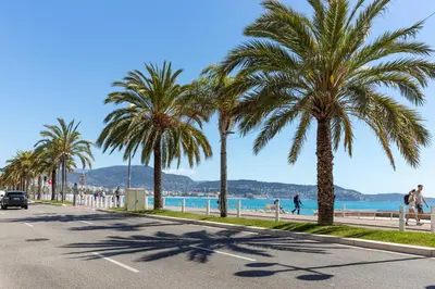 a street with palm trees on the beach at HappyFew suite Palazzo in Nice