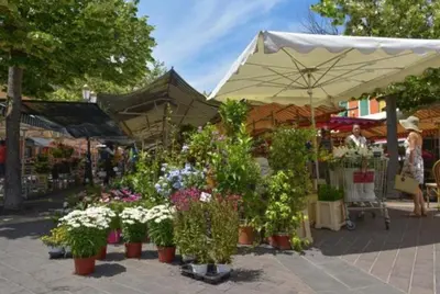 a market with a bunch of flowers and an umbrella at Jardin tropical, parking, climatisation in Nice
