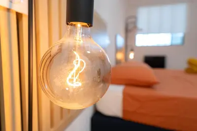 a light bulb with a snake on it hanging in a room at Grand appartement idéal famille, proche plage, bon emplacement pour visiter la Côte d'Azur in Nice