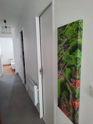 a painting hanging on a wall in a hallway at Appartement 3 chambres spacieux prés des plages à Nice in Nice