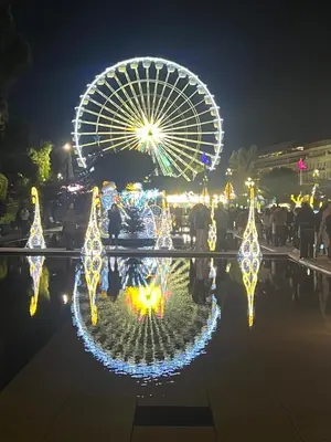 a ferris wheel and a christmas light display at night at Rossetti in Nice
