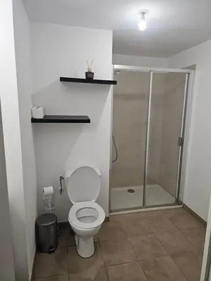 a bathroom with a toilet and a shower at Résidence le vernier in Nice