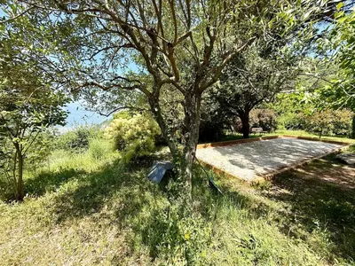 a tree sitting in the middle of a field at Havre de paix proche de Nice in Aspremont