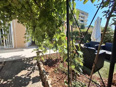 a tree in a garden with a chair and an umbrella at Lovely apartment with private garden and a swimming-pool in Nice