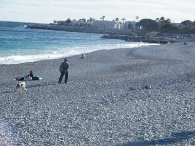 a man and a person and a dog on a beach at Apartment Villa HenriIV in Nice