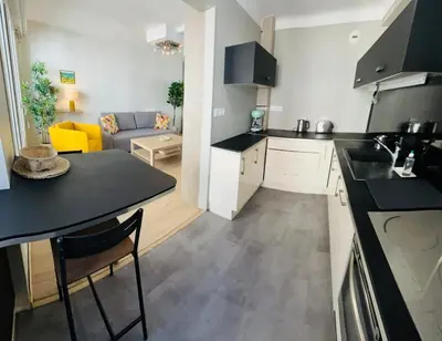 a kitchen and living room with a black counter top at Bel appartement spacieux avec joli balcon arboré, calme, bien situé, centre ville in Nice